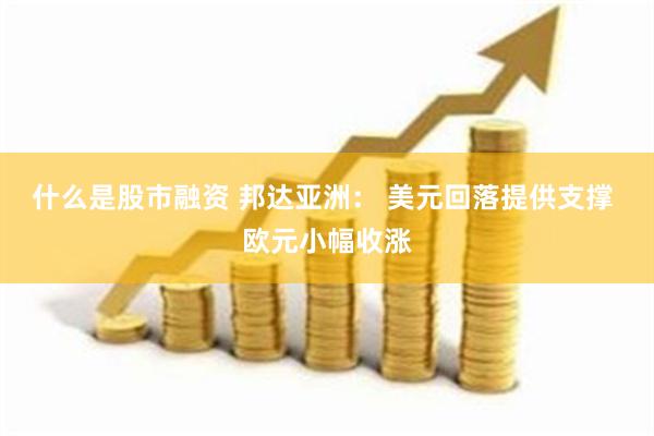 什么是股市融资 邦达亚洲： 美元回落提供支撑 欧元小幅收涨