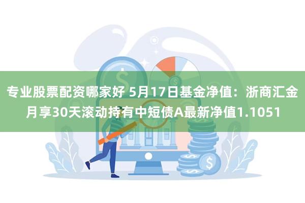 专业股票配资哪家好 5月17日基金净值：浙商汇金月享30天滚动持有中短债A最新净值1.1051