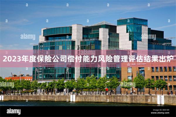 2023年度保险公司偿付能力风险管理评估结果出炉