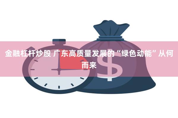 金融杠杆炒股 广东高质量发展的“绿色动能”从何而来