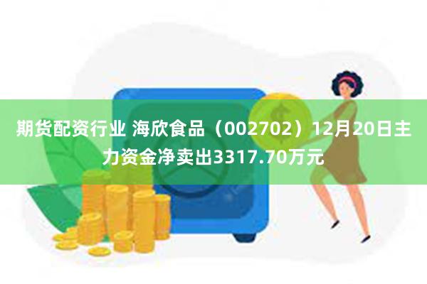 期货配资行业 海欣食品（002702）12月20日主力资金净卖出3317.70万元