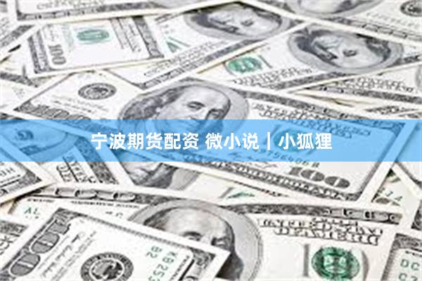 宁波期货配资 微小说｜小狐狸