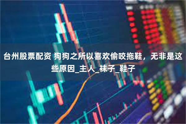 台州股票配资 狗狗之所以喜欢偷咬拖鞋，无非是这些原因_主人_袜子_鞋子