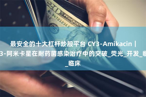 最安全的十大杠杆炒股平台 CY3-Amikacin｜CY3-阿米卡星在耐药菌感染治疗中的突破_荧光_开发_临床