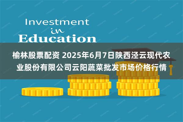 榆林股票配资 2025年6月7日陕西泾云现代农业股份有限公司云阳蔬菜批发市场价格行情