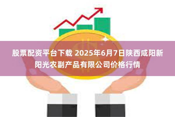股票配资平台下载 2025年6月7日陕西咸阳新阳光农副产品有限公司价格行情