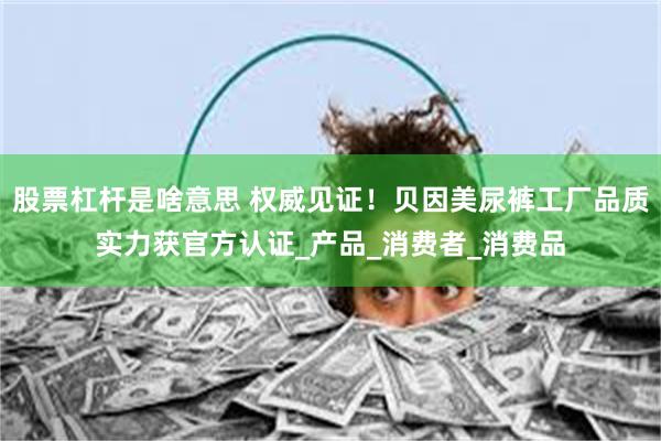 股票杠杆是啥意思 权威见证！贝因美尿裤工厂品质实力获官方认证_产品_消费者_消费品