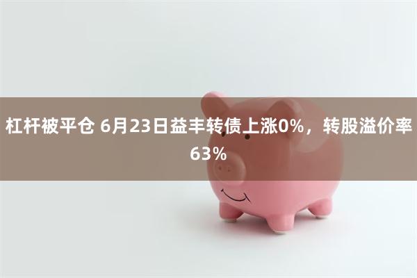 杠杆被平仓 6月23日益丰转债上涨0%，转股溢价率63%