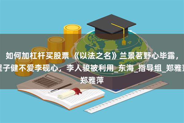 如何加杠杆买股票 《以法之名》兰景茗野心毕露，程子健不爱李砚心，李人骏被利用_东海_指导组_郑雅萍
