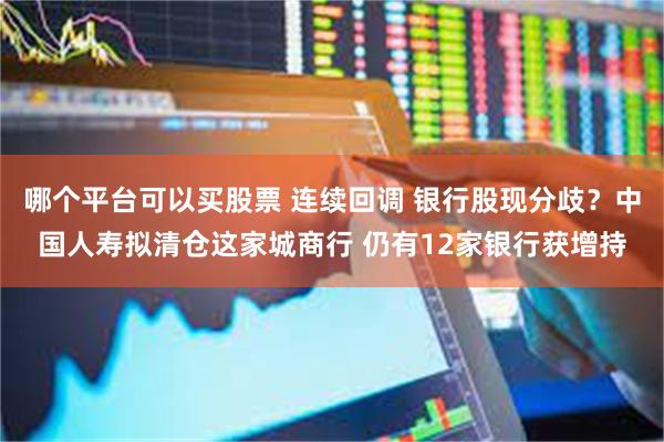 哪个平台可以买股票 连续回调 银行股现分歧？中国人寿拟清仓这家城商行 仍有12家银行获增持
