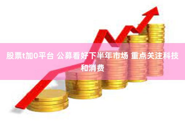 股票t加0平台 公募看好下半年市场 重点关注科技和消费