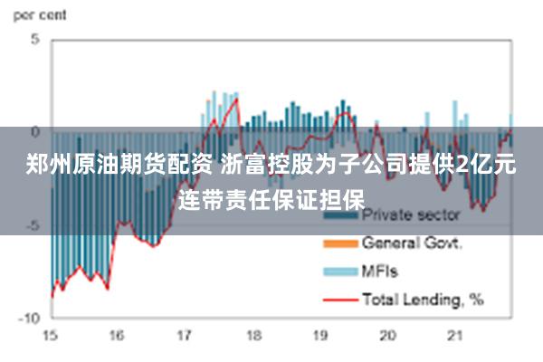郑州原油期货配资 浙富控股为子公司提供2亿元连带责任保证担保