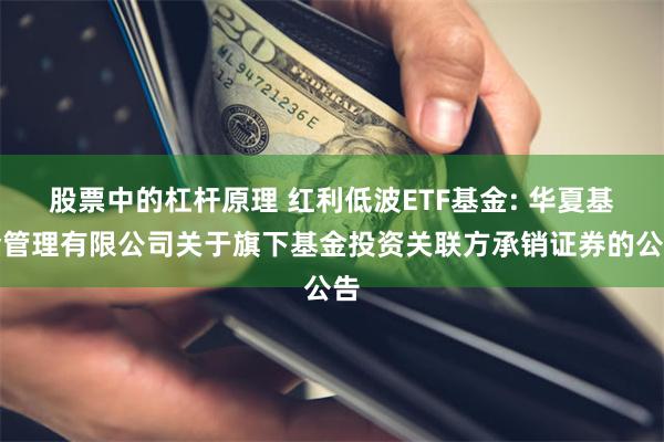 股票中的杠杆原理 红利低波ETF基金: 华夏基金管理有限公司关于旗下基金投资关联方承销证券的公告